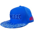 Load image into Gallery viewer, Psycho Les Squeeze Snapback Hat