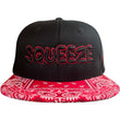 Load image into Gallery viewer, Psycho Les Squeeze Snapback Hat
