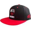 Load image into Gallery viewer, The Nuts Nets Snapback